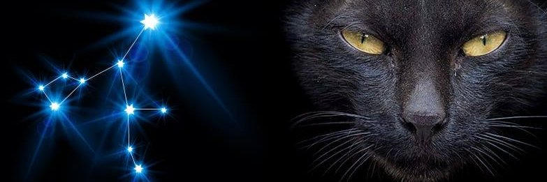 pegasuss's profile banner image