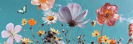 Grace_Lopez_8's profile banner image