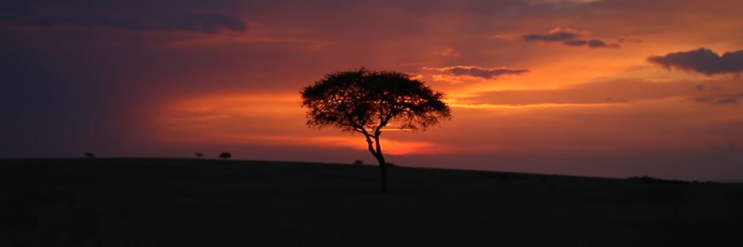 Verohonegger's profile banner image