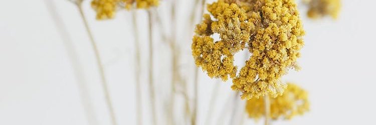 mandyfebryanne's profile banner image