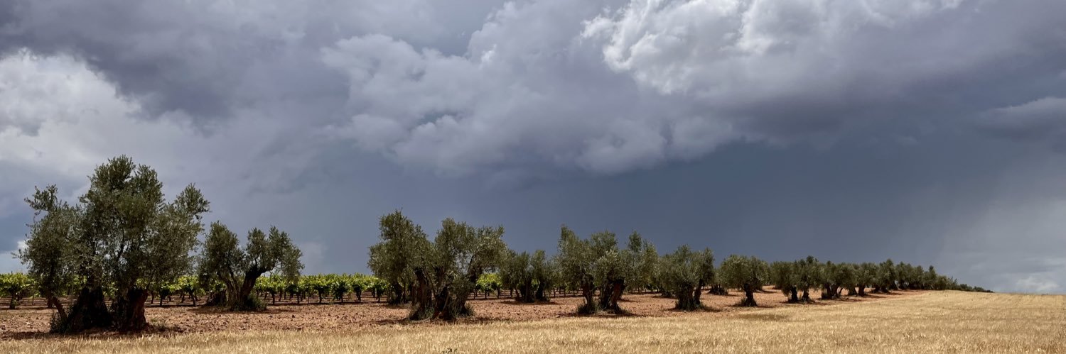 Carlos Capdevila banner