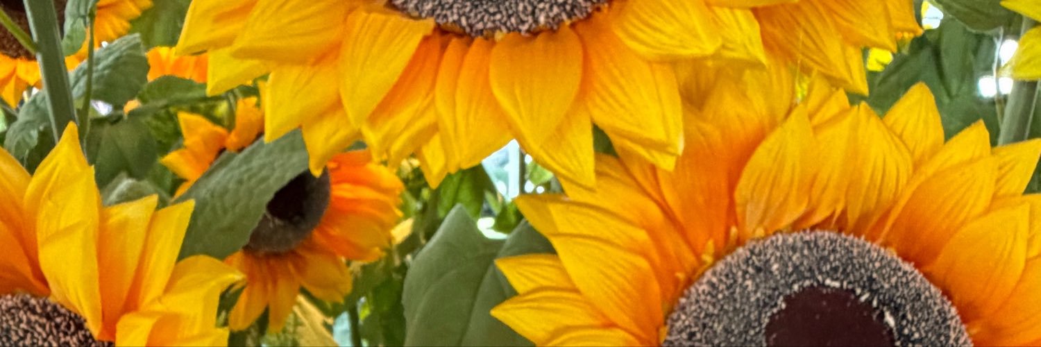 smmr_mimo's profile banner image