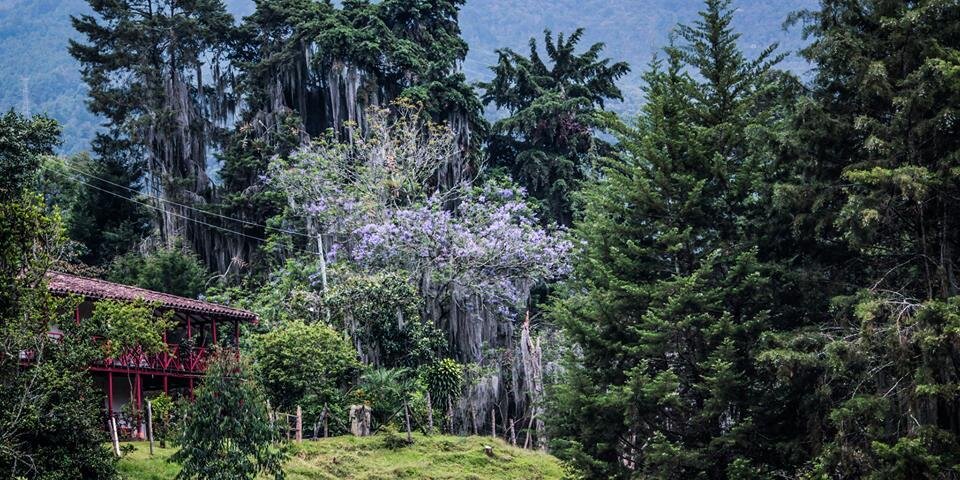 SvHeredia's profile banner image