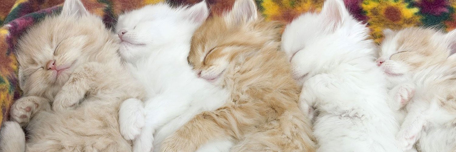 なんもわからん banner