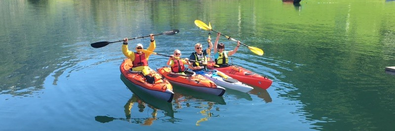 Dag Inge Aarhus banner