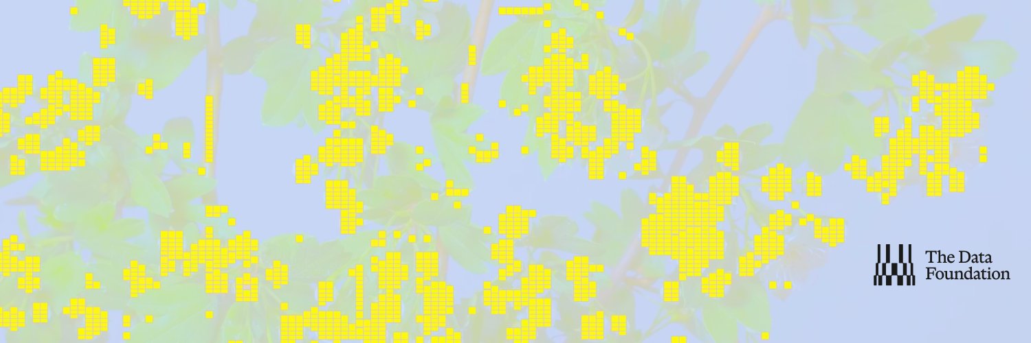 datafdn_cn's profile banner image
