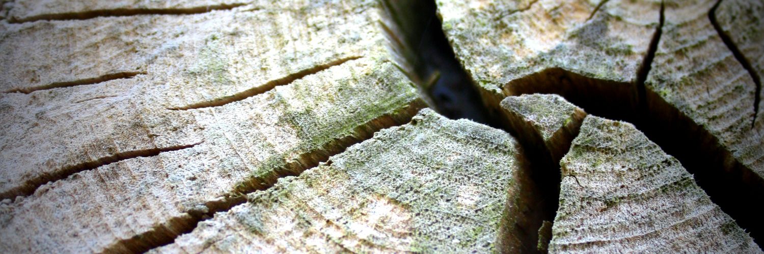 acwatson's profile banner image