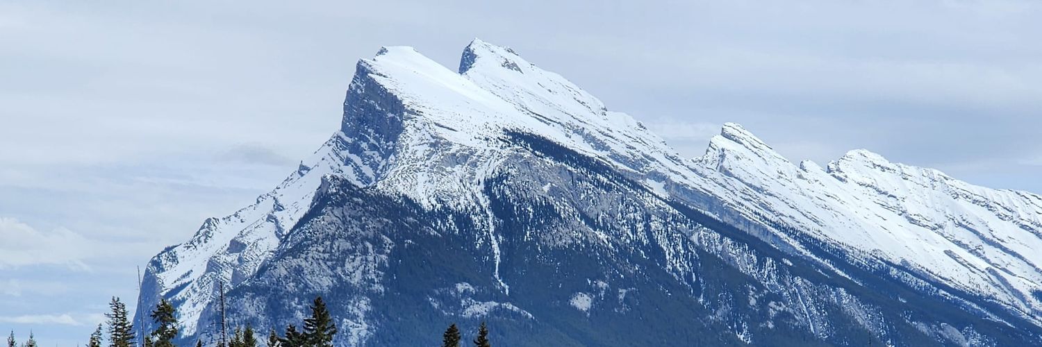 dzm_86's profile banner image