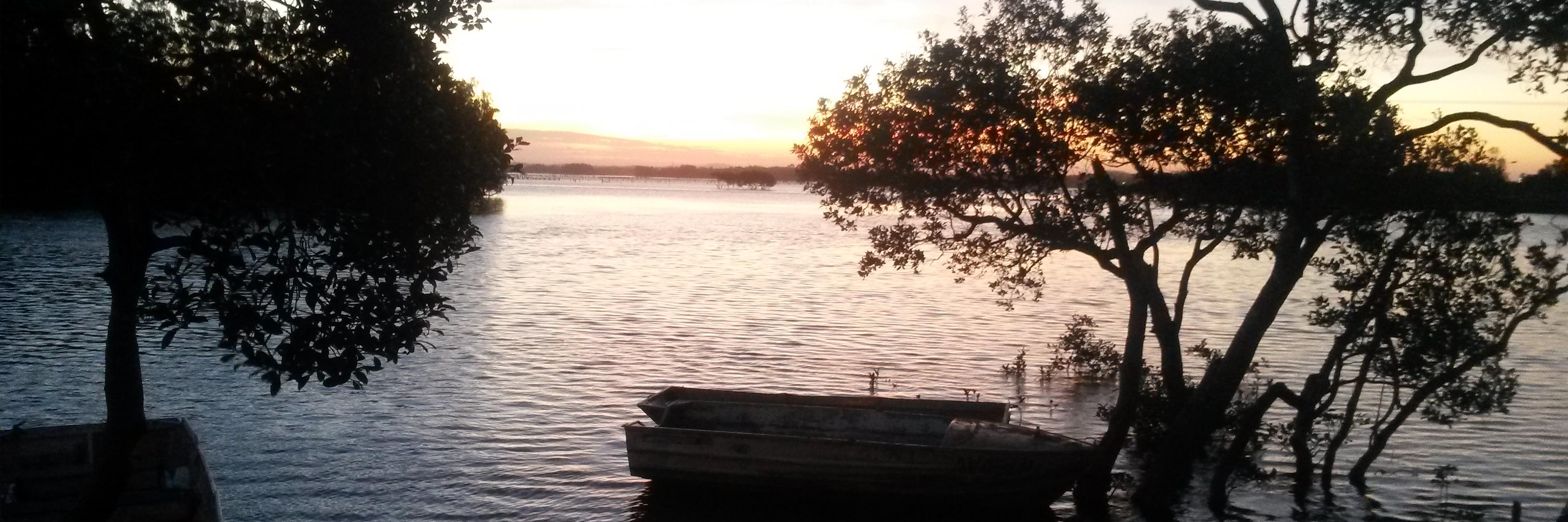 MickDoowakee's profile banner image