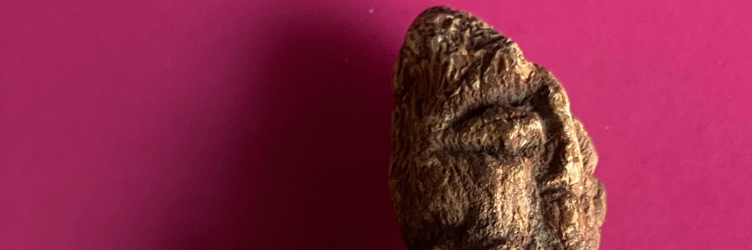 AmeliaGregory banner