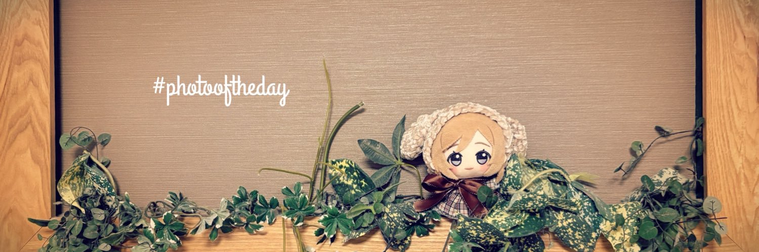chaco_ex's profile banner image