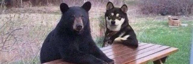 D2kali_n's profile banner image