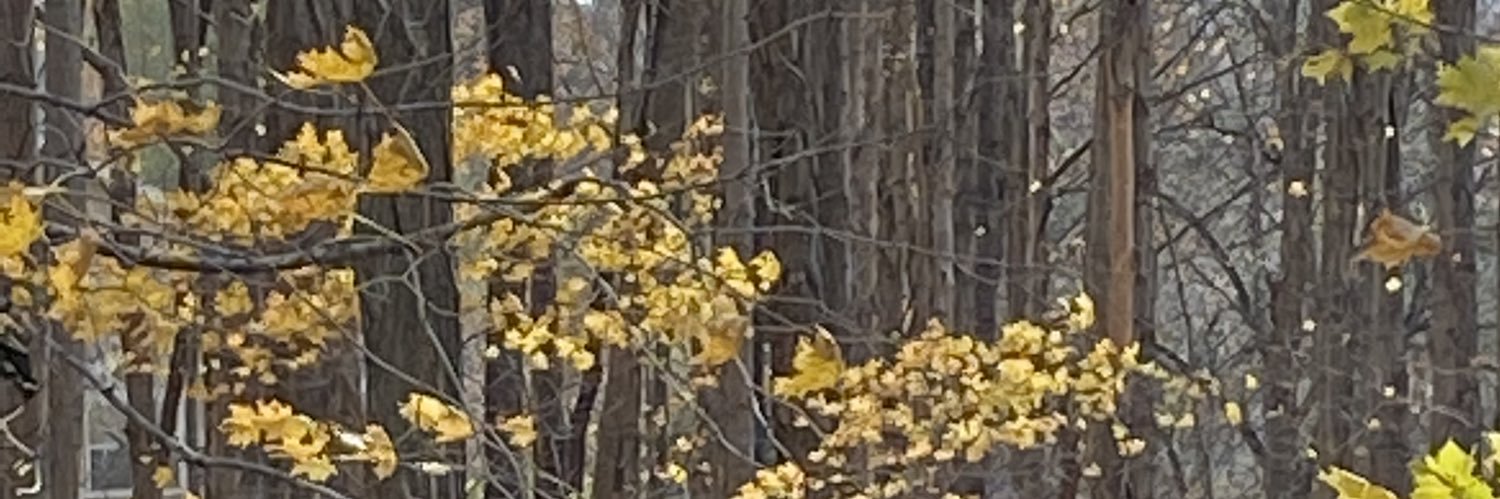 TYRON BRACKENRIDGE banner