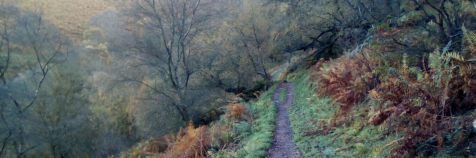 It's all about the run. banner