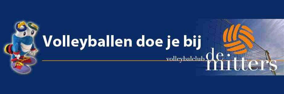 Volleybal De Mitters banner