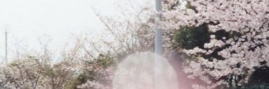 ﹗ ࣪ амняма ꫂ ၴႅၴ ENHYPEN IS 7 🧡 banner