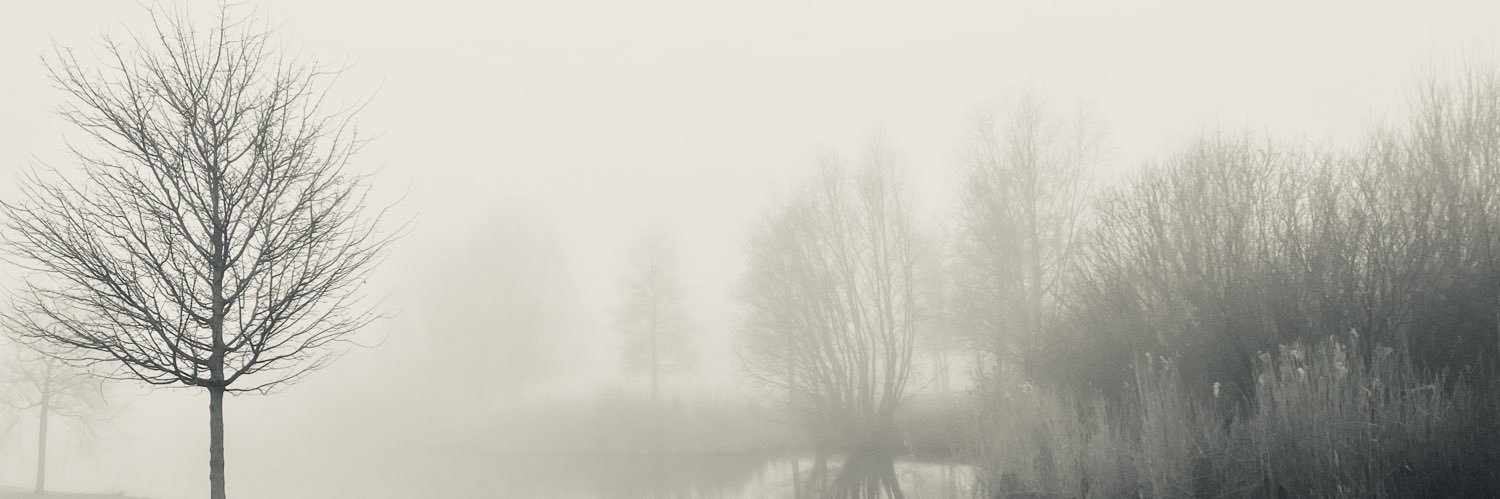 nodibase's profile banner image
