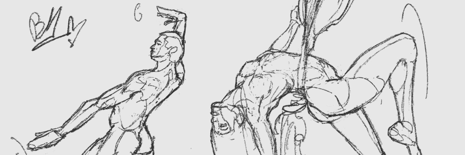 Benji Meister banner