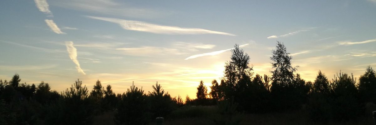 Janofie's profile banner image