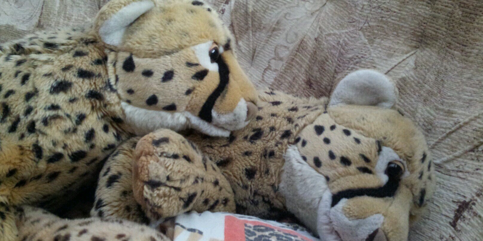 Namiri 🐯🐶🔜🎈 banner