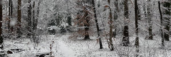 litle_d0ll Profile Banner