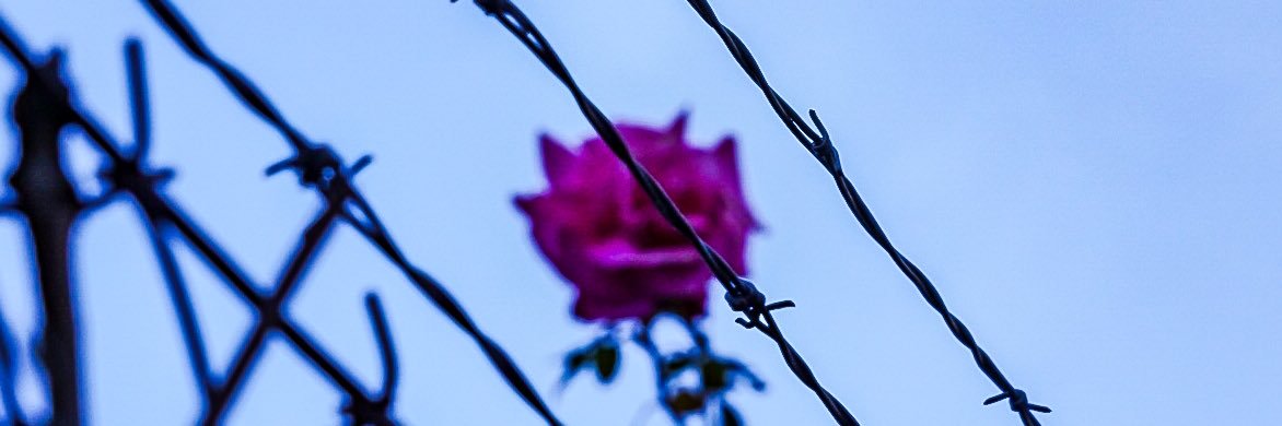 Scooch banner