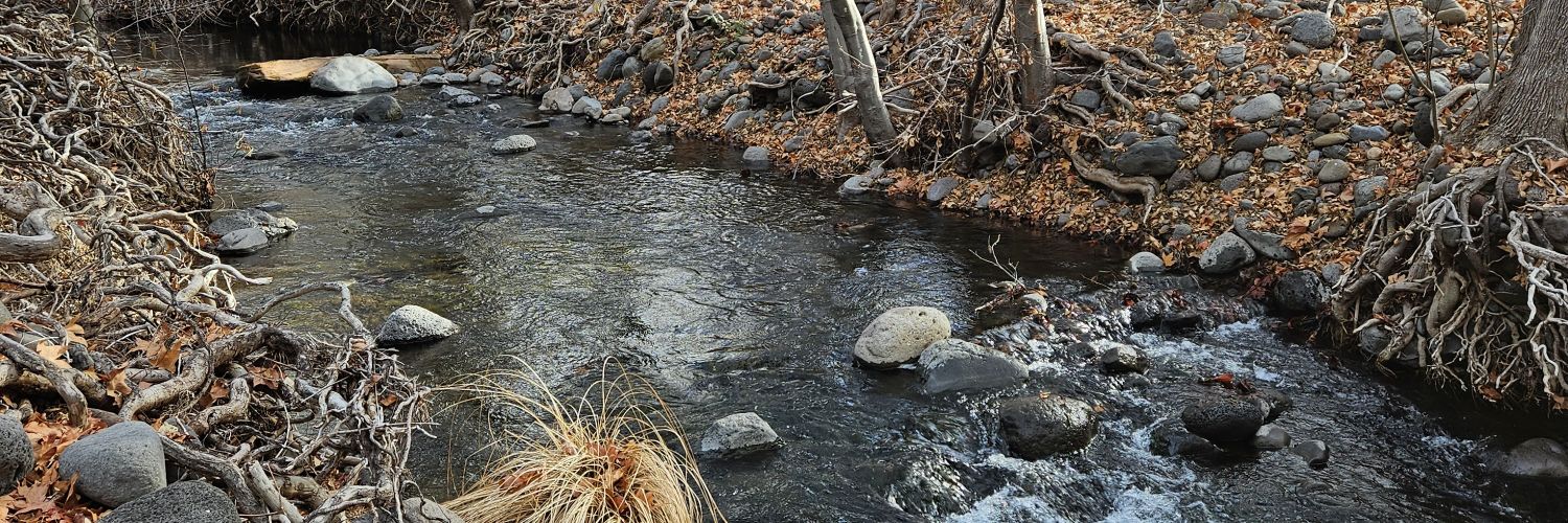 Amanda Rouillard banner