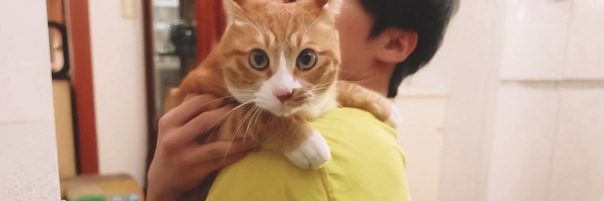 puddimdominho's profile banner image