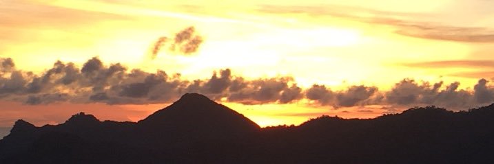 ninaCRLn's profile banner image