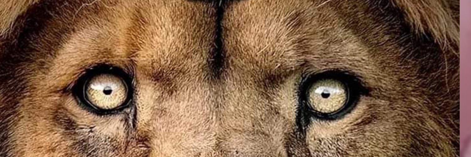 Samsonoluseun's profile banner image