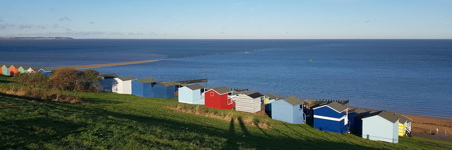 vicksterbubble banner