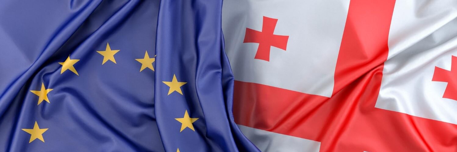 Anni Phridonashvili's banner