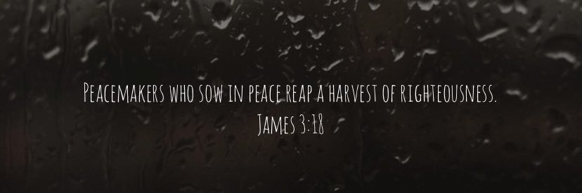 🇺🇸 VetWithFaith ✝️'s banner
