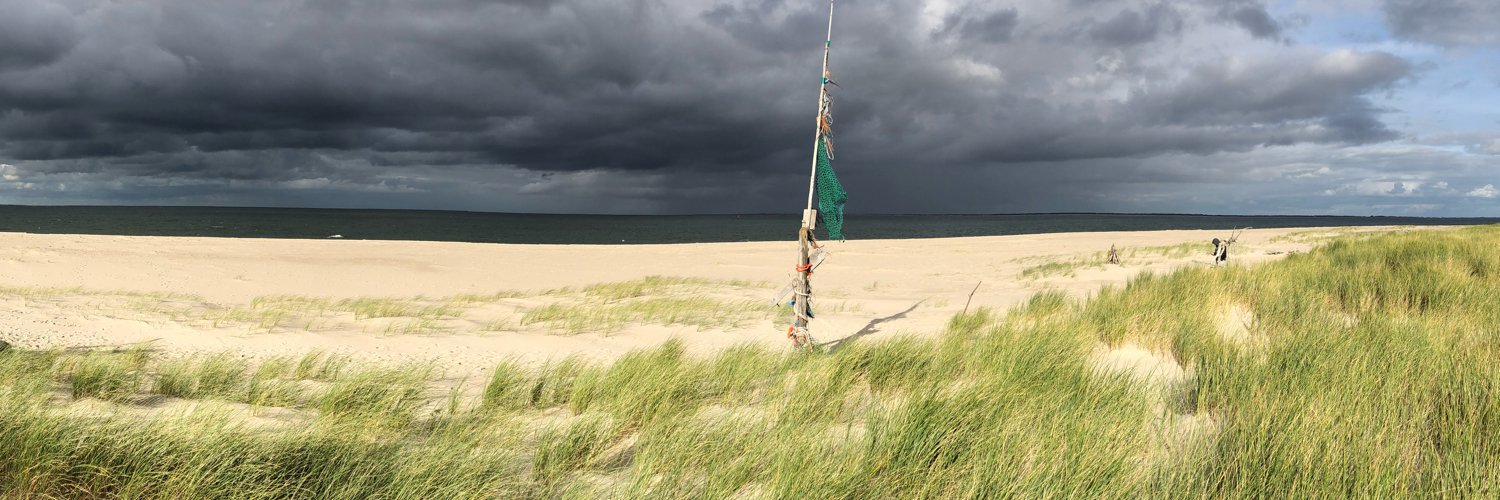 weckgeschnappt banner