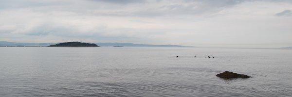 glancingcolours Profile Banner