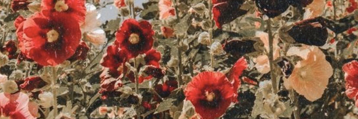 iidaah00's profile banner image