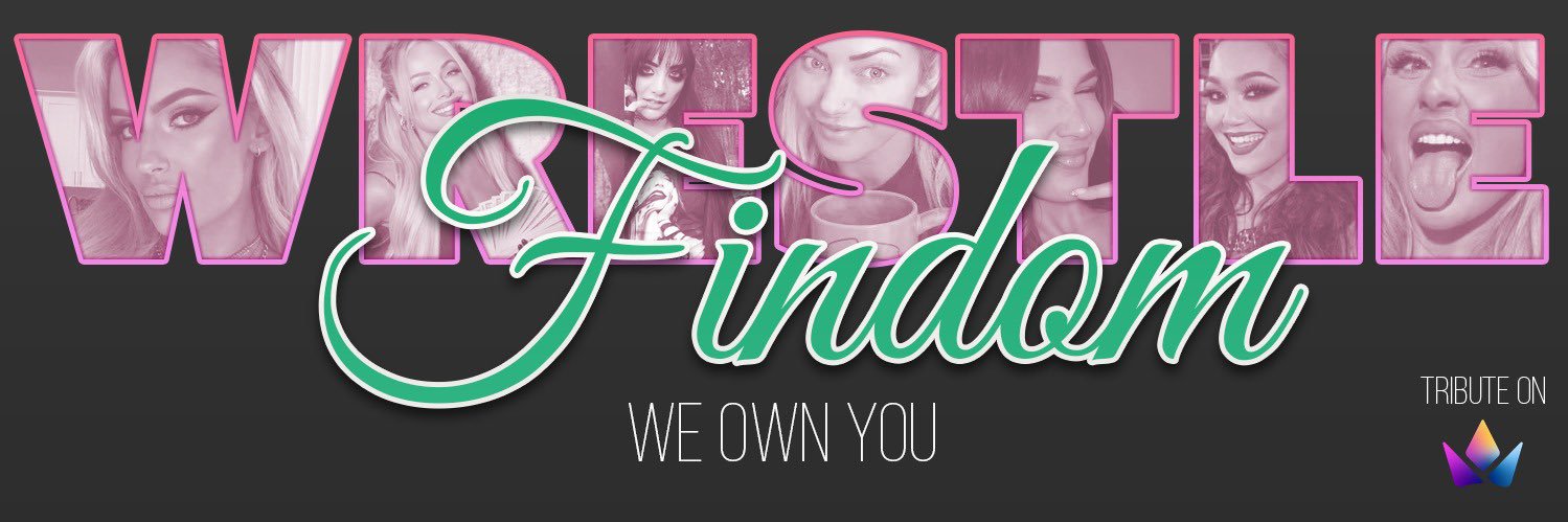 Wrestle Findom banner
