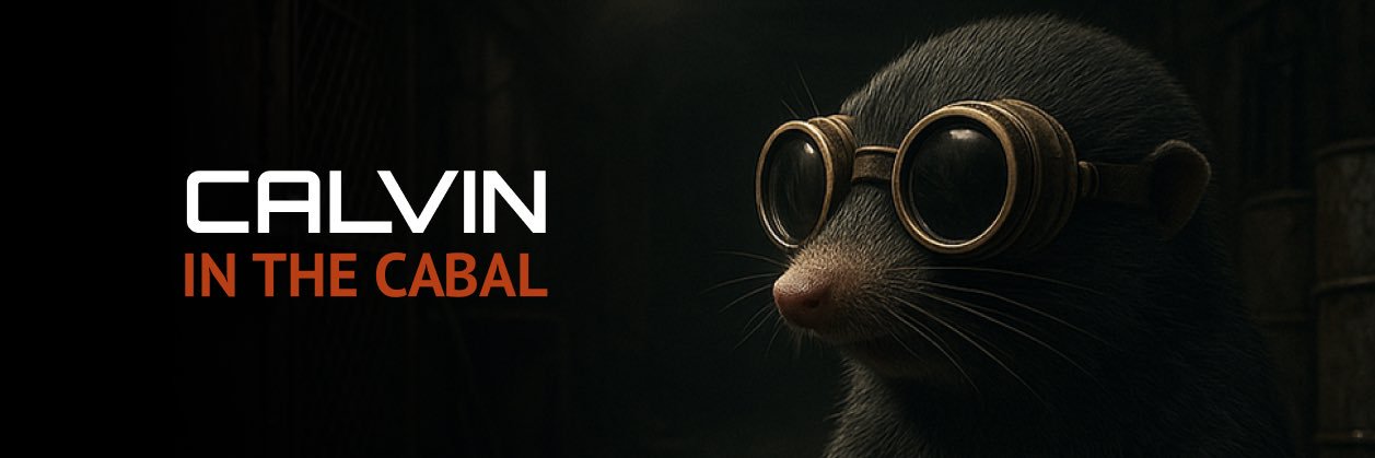 Calvin in the Cabal's banner
