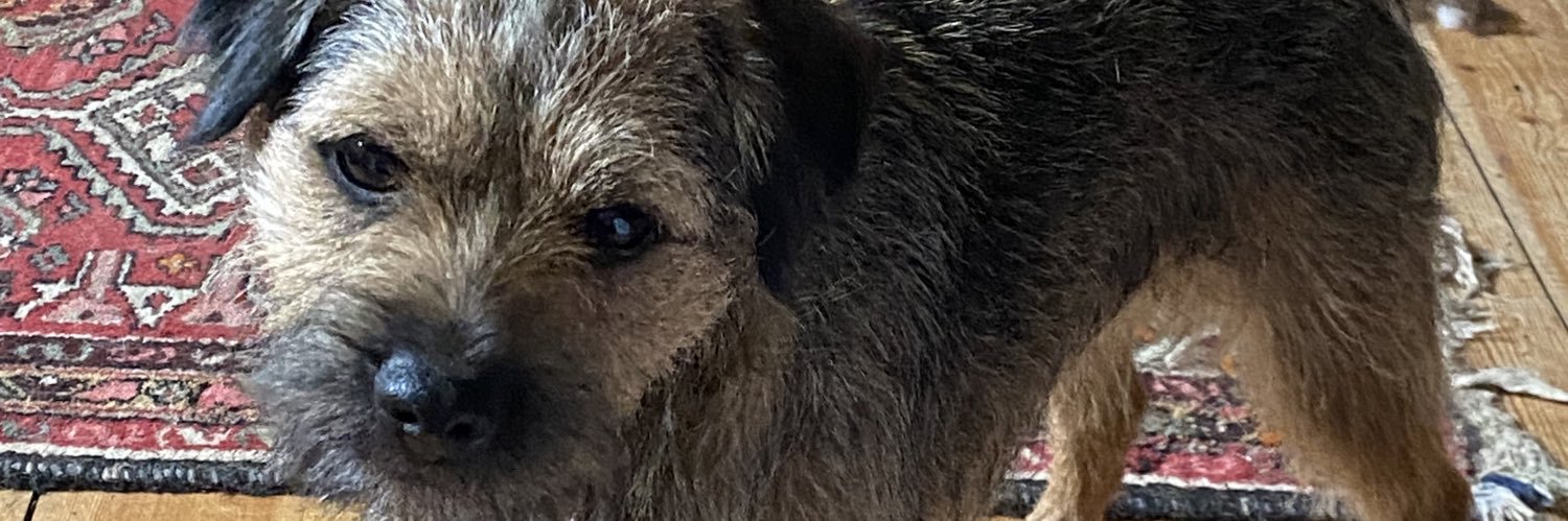 Thesilversheep's profile banner image