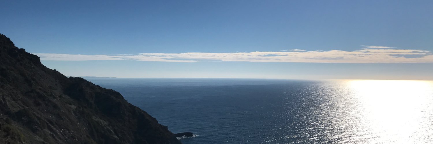 Céline Sola banner