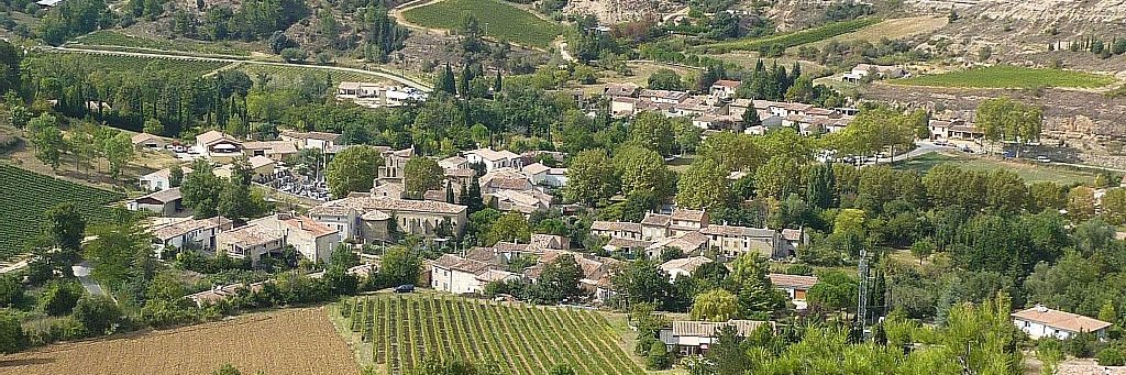 Dr Whitney Standlee banner