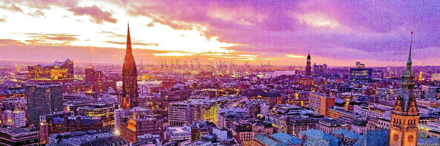 Hamburger Abendblatt banner