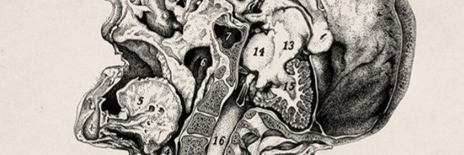 Valetallica's profile banner image