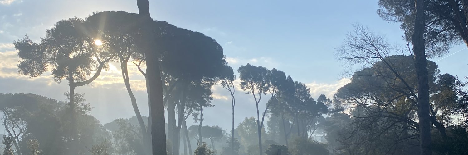 laganagan's profile banner image