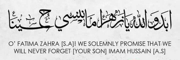 مرزا شانے حیدر 🇮🇳 banner