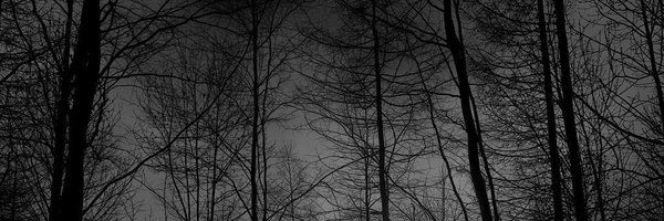 mayd Profile Banner