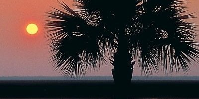 johnmilko1's profile banner image