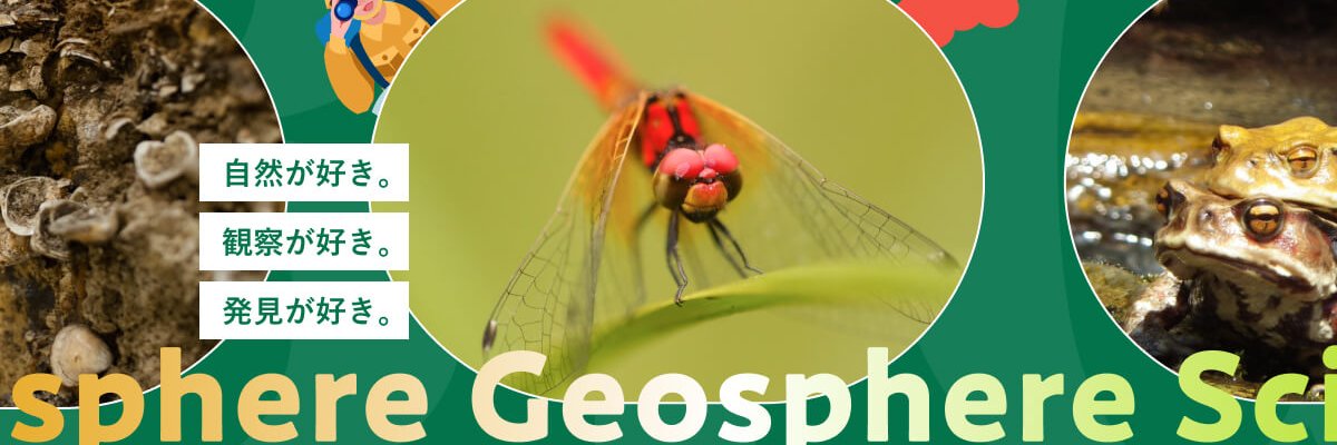 岡山理科大学生物地球学部生物地球学科's banner