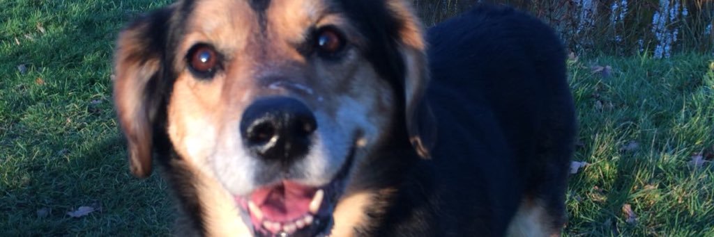 _Sofiieee's profile banner image