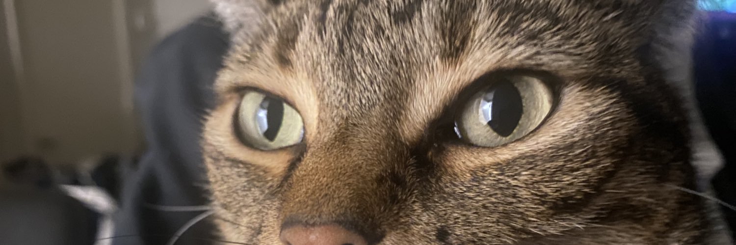 GirthTheEarth's profile banner image